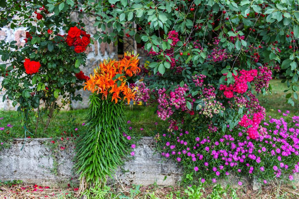 Ana Stjepan Nikolic - Pilgrim'S 2Nd Home Medjugorje Exterior photo
