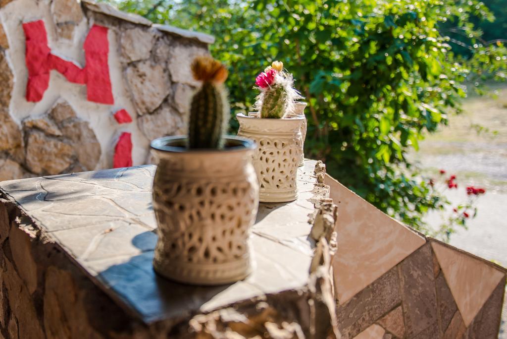 Ana Stjepan Nikolic - Pilgrim'S 2Nd Home Medjugorje Exterior photo